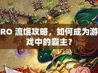 RO 流氓攻略，如何成為游戲中的霸主？
