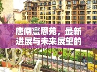 唐閘寰思苑，最新進展與未來展望的深度探索