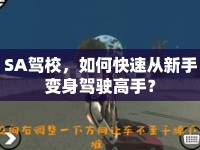 SA駕校，如何快速從新手變身駕駛高手？