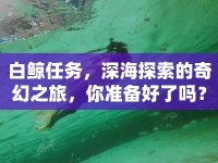 白鯨任務(wù)，深海探索的奇幻之旅，你準備好了嗎？
