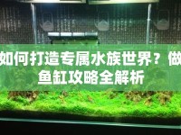 如何打造專屬水族世界？做魚缸攻略全解析