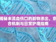 揭秘未流血傷口的臟物滲出，愈合機(jī)制與日常護(hù)理指南