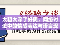 太粗太深了好爽，網絡討論中的情感表達與語言現(xiàn)象