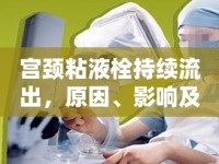 宮頸粘液栓持續(xù)流出，原因、影響及應(yīng)對(duì)措施