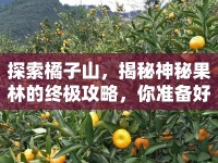 探索橘子山，揭秘神秘果林的終極攻略，你準(zhǔn)備好了嗎？