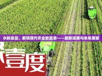 水韻良田，解鎖現(xiàn)代農(nóng)業(yè)新篇章——最新進(jìn)展與未來展望