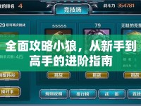 全面攻略小狼，從新手到高手的進(jìn)階指南