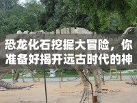 恐龍化石挖掘大冒險(xiǎn)，你準(zhǔn)備好揭開遠(yuǎn)古時(shí)代的神秘面紗了嗎？