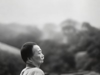 69級(jí)化生寺如何打造極致面板？核心屬性全解析！