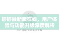 婷婷最新版在線，用戶體驗與功能升級深度解析