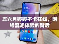 五六月婷婷不卡在線，網(wǎng)絡(luò)流暢體驗(yàn)的背后