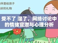 受不了 濕了，網(wǎng)絡(luò)討論中的情緒宣泄與心理分析