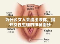 為什么女人會(huì)流出液體，揭開女性生理的神秘面紗