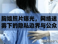 胸姐照片曝光，網(wǎng)絡(luò)迷霧下的隱私邊界與公眾好奇