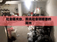 社會曝光臺，照亮社會陰暗面的陽光