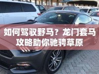 如何駕馭野馬？龍門套馬攻略助你馳騁草原