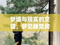 夢境與現(xiàn)實的交錯，夢見睡覺房間有水流出來的寓意與解析