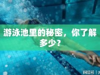 游泳池里的秘密，你了解多少？