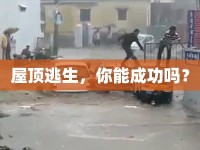 屋頂逃生，你能成功嗎？