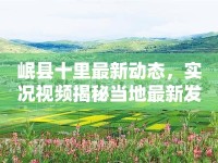 岷縣十里最新動(dòng)態(tài)，實(shí)況視頻揭秘當(dāng)?shù)刈钚掳l(fā)展