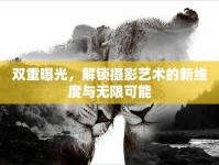 雙重曝光，解鎖攝影藝術(shù)的新維度與無限可能