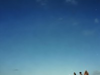 媽媽的朋友神馬，網(wǎng)絡熱議背后的情感與倫理探討