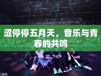 澀停停五月天，音樂與青春的共鳴