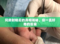 同房射精后的真相揭秘，你一直好奇的答案