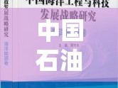 中國(guó)石油制造能力，最新科技進(jìn)展與能源戰(zhàn)略的深度解析