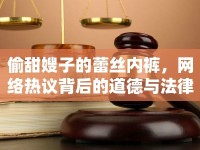 偷甜嫂子的蕾絲內(nèi)褲，網(wǎng)絡(luò)熱議背后的道德與法律思考