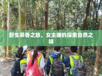 野生茶香之旅，女主播的探索自然之味
