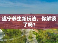 遂寧養(yǎng)生新玩法，你解鎖了嗎？