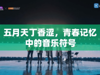 五月天丁香澀，青春記憶中的音樂符號