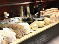 如何在英雄的黎明手游中快速提升戰(zhàn)力并搭配最強(qiáng)技能？