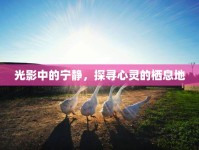 光影中的寧?kù)o，探尋心靈的棲息地