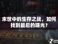 末世中的生存之戰(zhàn)，如何找到最后的曙光？