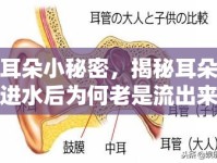 耳朵小秘密，揭秘耳朵進(jìn)水后為何老是流出來(lái)水