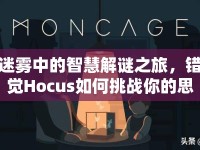 迷霧中的智慧解謎之旅，錯覺Hocus如何挑戰(zhàn)你的思維？