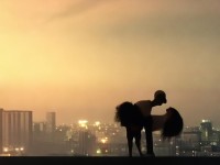 夢幻手游中，義結(jié)金蘭的名字背后，究竟藏著怎樣的情誼？