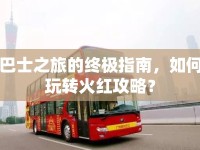 巴士之旅的終極指南，如何玩轉(zhuǎn)火紅攻略？