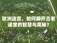 歐洲迷宮，如何解開古老迷宮的智慧與奧秘？
