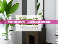 上海檸檬樹裝飾，口碑與服務(wù)全面揭秘