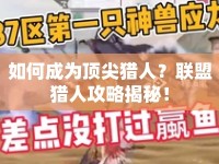 如何成為頂尖獵人？聯(lián)盟獵人攻略揭秘！
