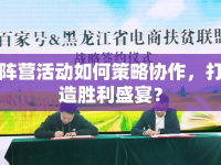 陣營活動如何策略協(xié)作，打造勝利盛宴？