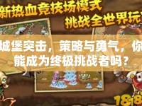 城堡突擊，策略與勇氣，你能成為終極挑戰(zhàn)者嗎？