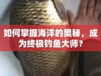 如何掌握海洋的奧秘，成為終極釣魚大師？