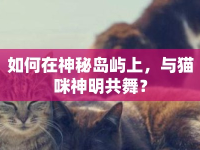 如何在神秘島嶼上，與貓咪神明共舞？
