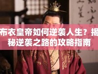 布衣皇帝如何逆襲人生？揭秘逆襲之路的攻略指南