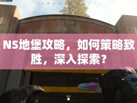 NS地堡攻略，如何策略致勝，深入探索？