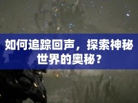 如何追蹤回聲，探索神秘世界的奧秘？